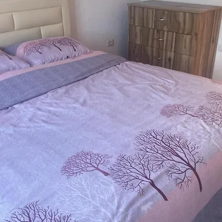 Joel بورغراديك