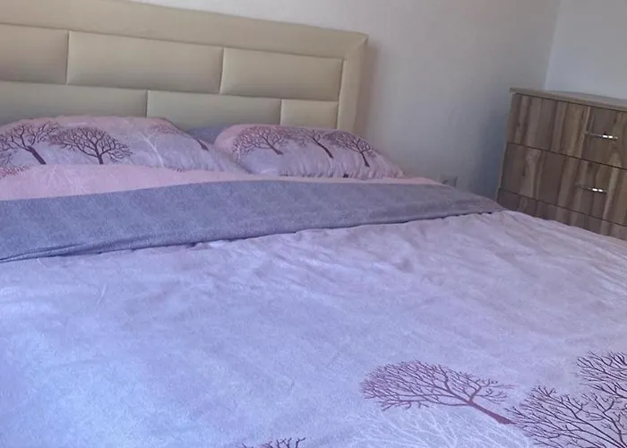 Joel بورغراديك